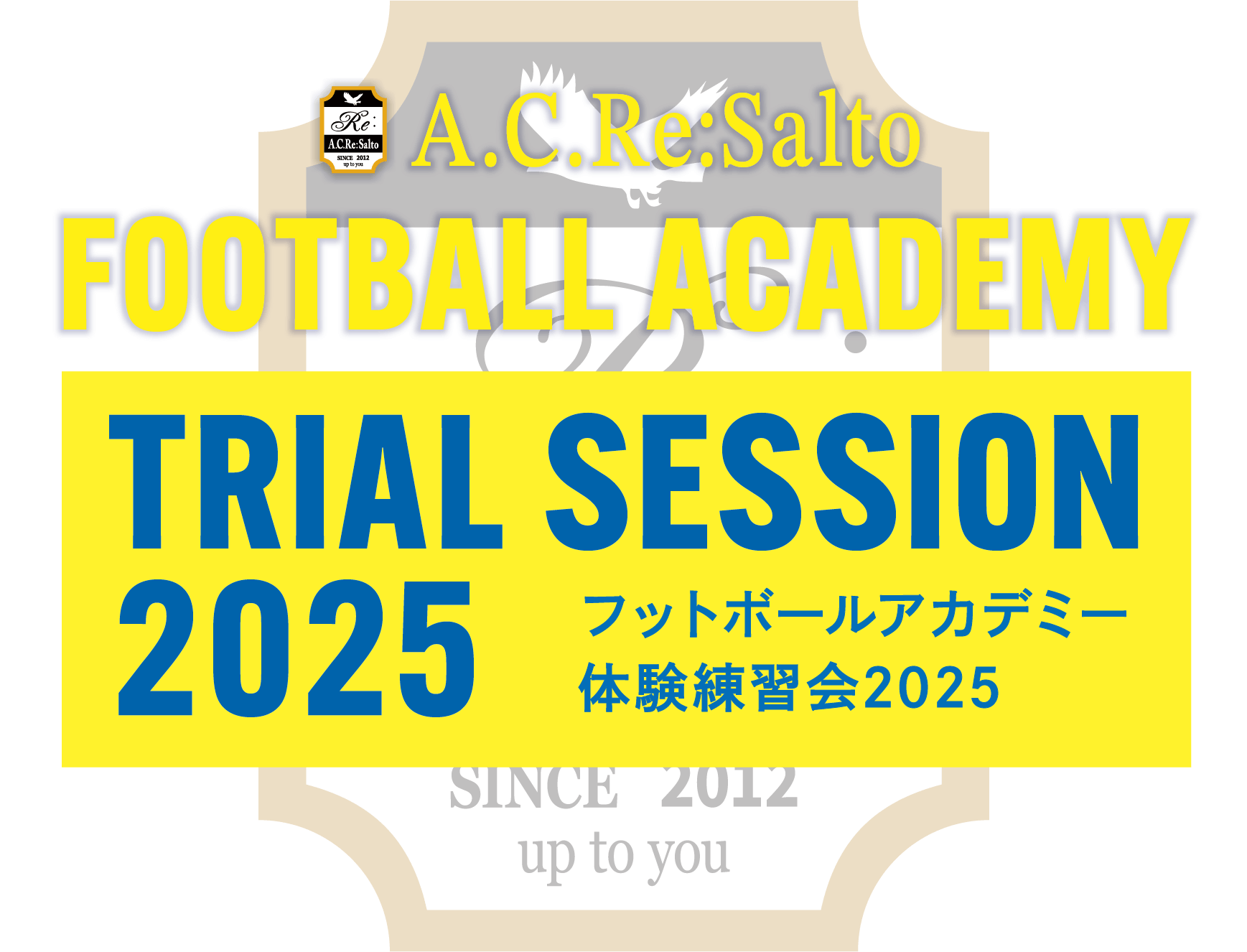 FOOTBALL ACADEMY